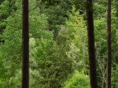 DSC08065.JPG